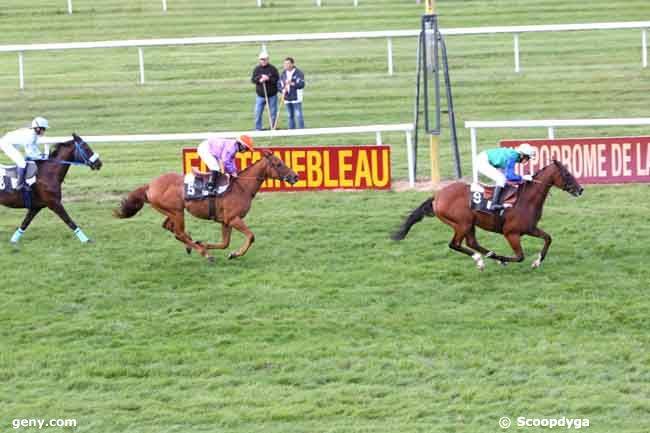 31/08/2012 - Fontainebleau - Grand Prix des Cavalières : Result