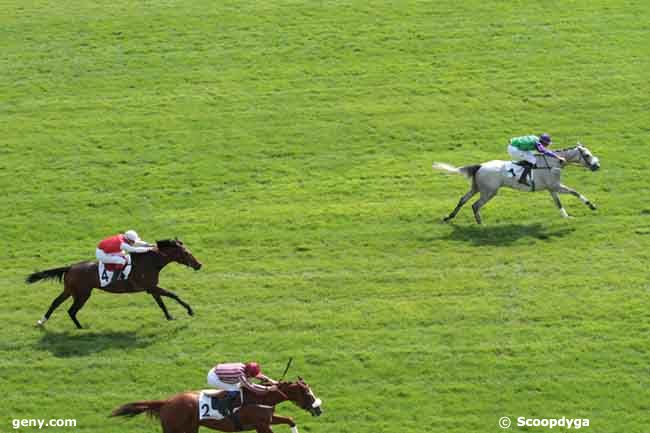 29/08/2013 - Auteuil - Prix Pelat : Ankunft