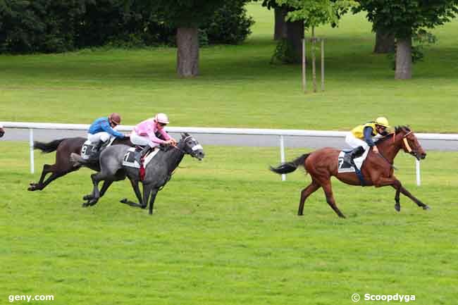 30/05/2014 - Maisons-Laffitte - Prix la Bascoe : Arrivée