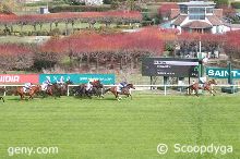 05/03/2026 - Saint-Cloud - Prix Teddy : Arriv&eacute;e