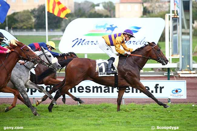 28/10/2019 - Marseille-Borély - Prix Gyptis et Protis : Arrivée