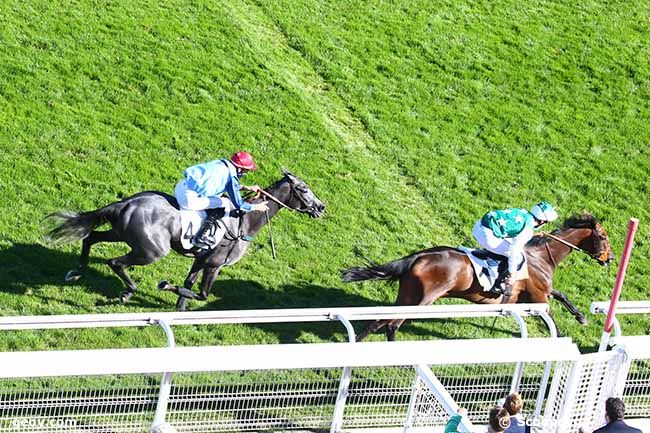 04/09/2020 - Auteuil - Prix Pelat : Arrivée