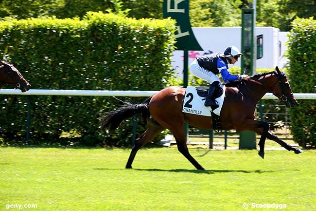 12/07/2022 - Chantilly - Prix de la Croix des Veneurs : Result