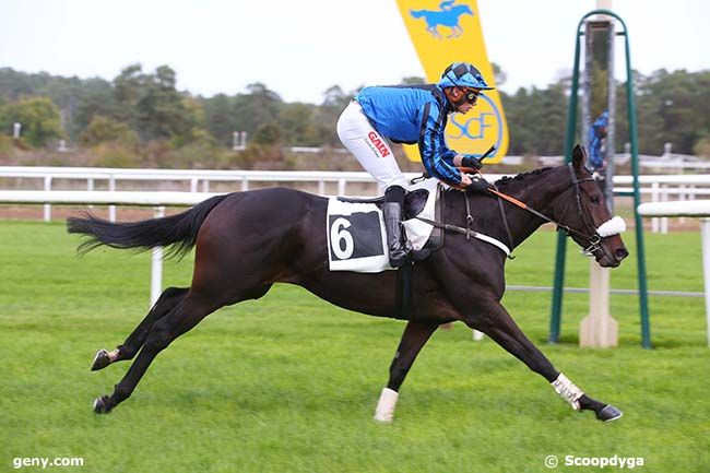 27/10/2022 - Fontainebleau - Prix du Mont Ussy : Arrivée