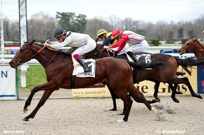 22/01/2024 - Pau - Prix de Lasseube : Arrivée