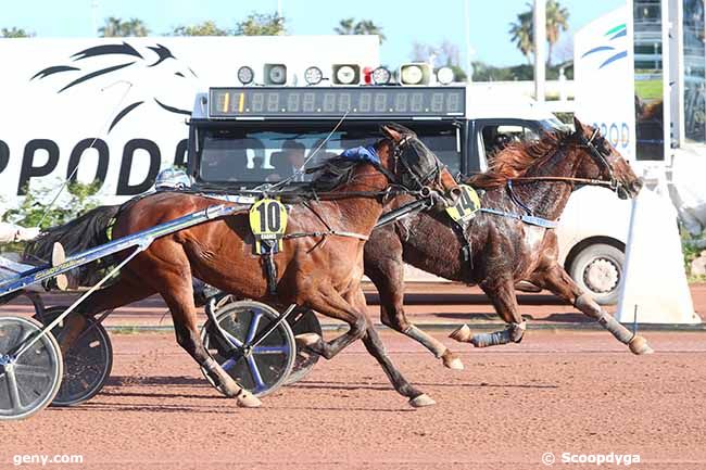 10/03/2024 - Cagnes-sur-Mer - Prix de Rome - Tor Di Valle : Arrivée