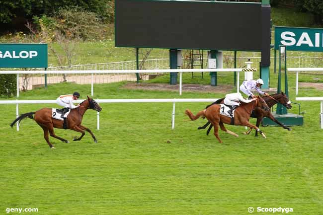 13/09/2024 - Saint-Cloud - Prix Sanctus : Ankunft