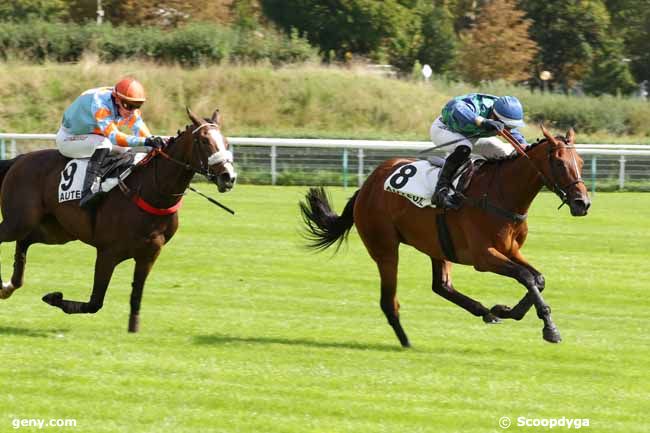 14/09/2024 - Auteuil - Prix Ucello II : Arrivée