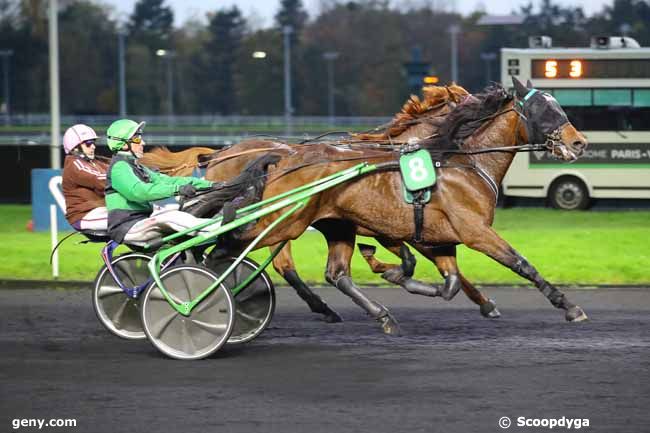 12/11/2024 - Vincennes - Prix des Tulipes : Arrivée