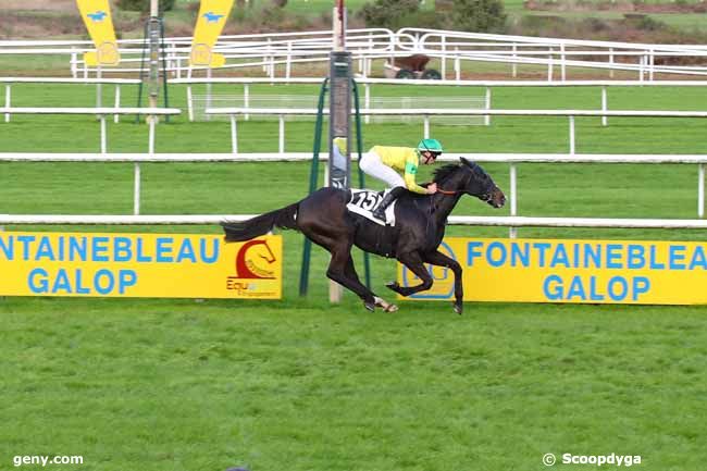 14/11/2024 - Fontainebleau - Prix des Acacias : Arrivée