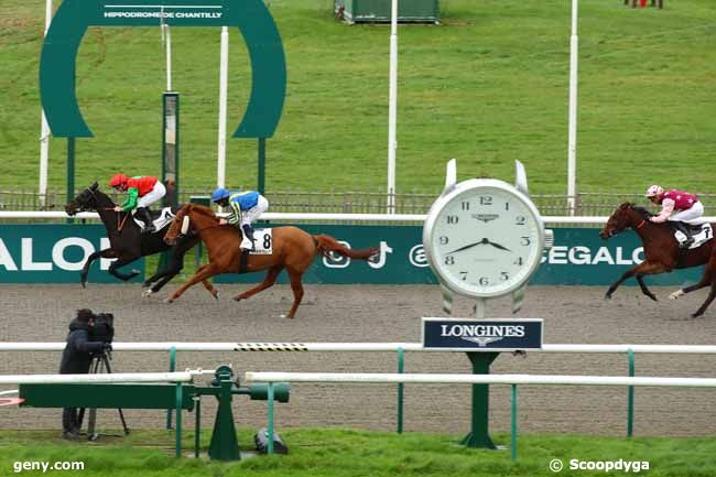 23/11/2024 - Chantilly - Prix Mercedes-Benz Groupe Autosphère (Prix de la Mare aux Corneilles) : Result