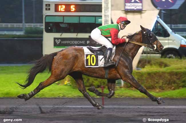 27/11/2024 - Vincennes - Prix de Condat : Arrivée