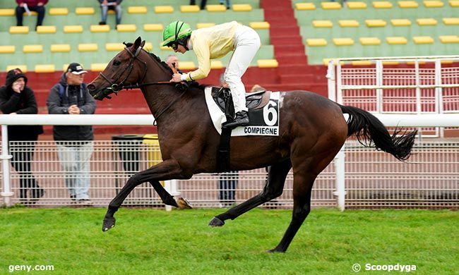 24/09/2025 - Compiègne - Prix de Vignemont : Arrivée