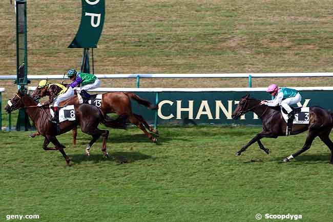 04/09/2009 - Chantilly - Prix de la Cochère : Arrivée