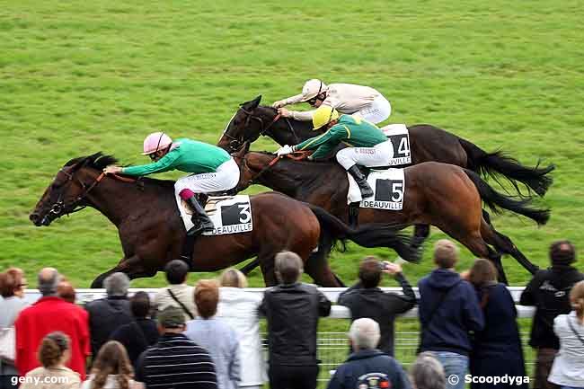 18/08/2010 - Deauville - Prix de Vire : Ankunft