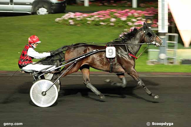 12/10/2010 - Vincennes - Prix Phaedra : Ankunft