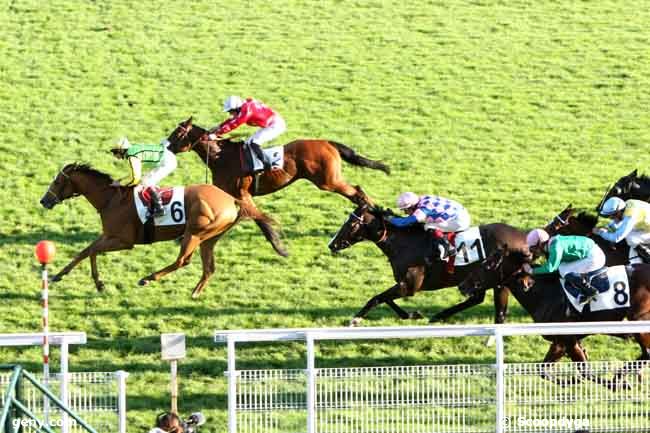 06/11/2012 - Maisons-Laffitte - Prix de Seine-et-Oise : Arrivée