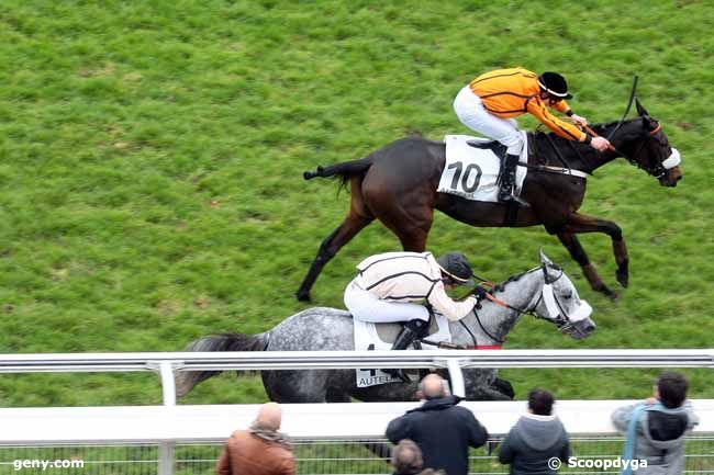 24/11/2013 - Auteuil - Prix André Michel : Arrivée