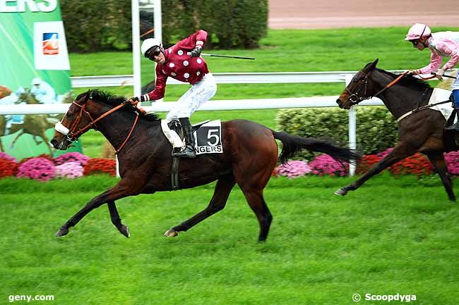 17/11/2015 - Angers - Prix Claude Munet : Result