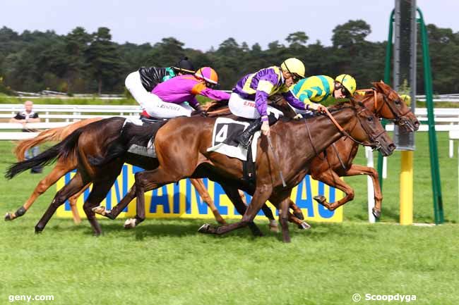 20/09/2016 - Fontainebleau - Prix des Ormes : Arrivée