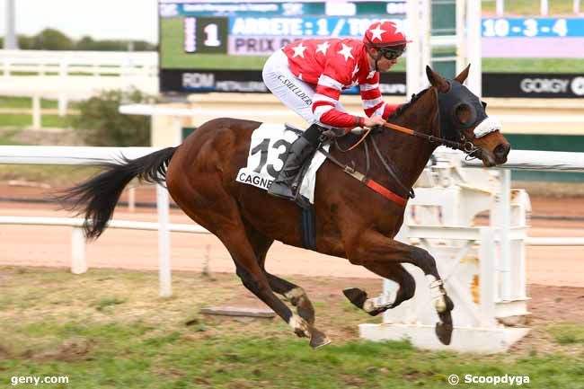 18/12/2017 - Cagnes-sur-Mer - Prix de Birmingham : Arrivée