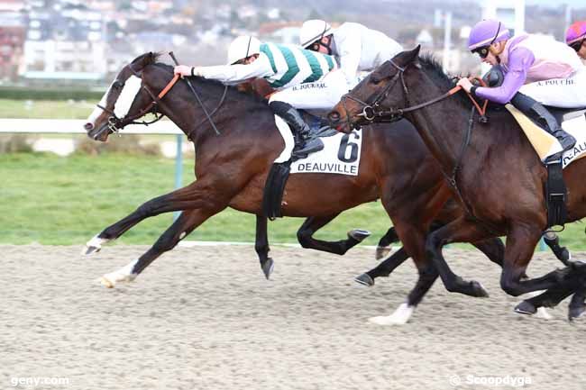 04/01/2020 - Deauville - Prix de la Seulles : Ankunft