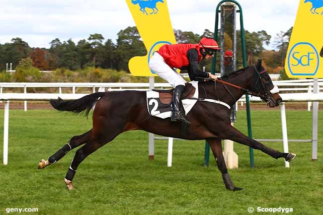 02/11/2021 - Fontainebleau - Prix Colonel Robert Labouche : Arrivée