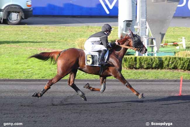 08/11/2021 - Vincennes - Prix d'Angers : Arrivée