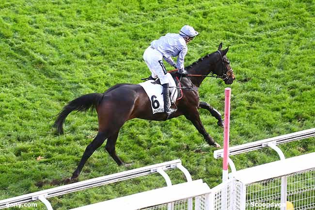 04/11/2022 - Auteuil - Prix Pierre de Lassus : Arrivée