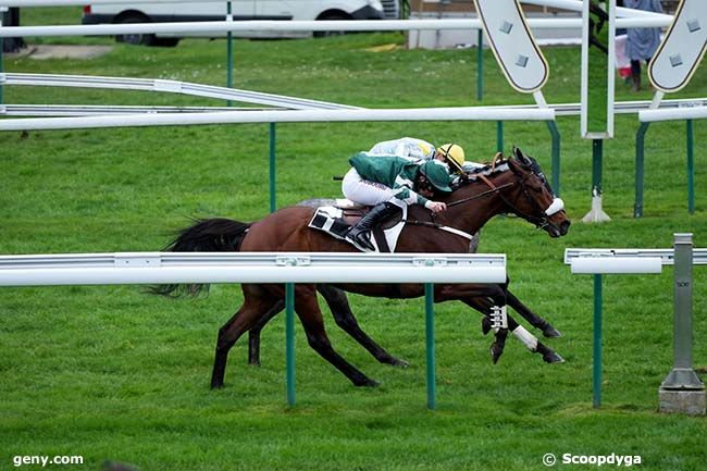 13/03/2024 - Compiègne - Prix Solitaire : Arrivée