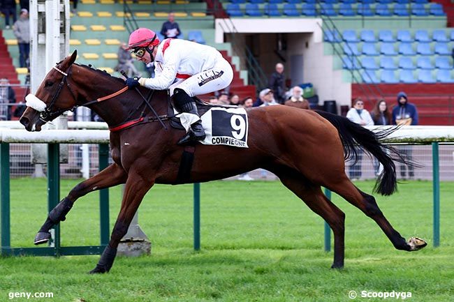 11/11/2024 - Compiègne - Prix Paulette Rolland (Prix Speranza) : Arrivée