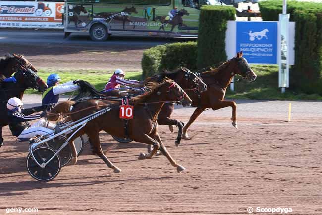 13/11/2024 - Rouen-Mauquenchy - Prix le Cheval Blanc : Ankunft