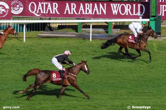 03/10/2008 - Saint-Cloud - Qatar French Arabian Breeders'Cup (Pouliches 3 Ans) : Ankunft