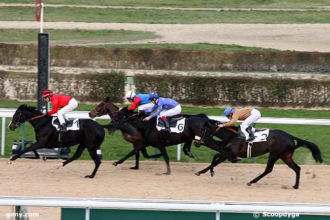 30/12/2008 - Deauville - Prix du Haras de Saint-Lô : Ankunft