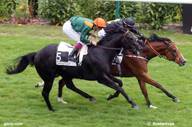 31/05/2009 - Chantilly - Prix du Gros-Chêne : Arrivée
