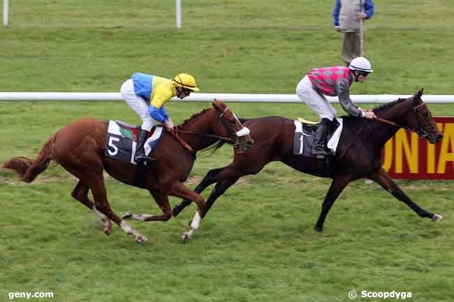 02/11/2010 - Fontainebleau - Prix de Denecourt : Arrivée