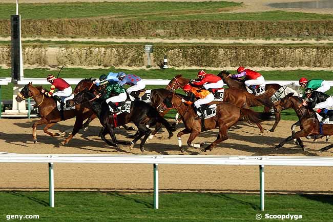 06/01/2012 - Deauville - Prix de Thaon : Ankunft