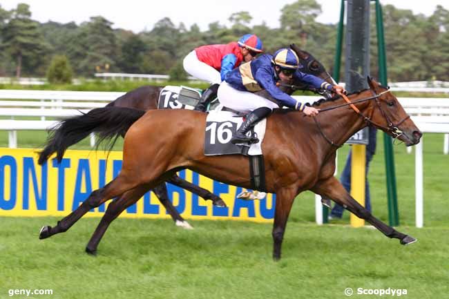 20/09/2016 - Fontainebleau - Prix de la Porte Nadon : Arrivée