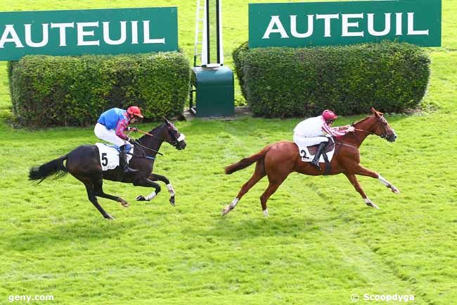 06/10/2021 - Auteuil - Prix Bison Futé : Ankunft