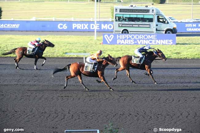 06/02/2023 - Vincennes - Prix de Montivilliers : Arrivée