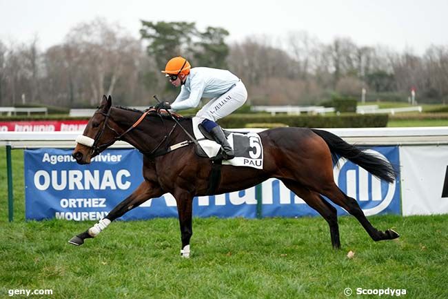 22/01/2024 - Pau - Prix de la Bigorre : Arrivée