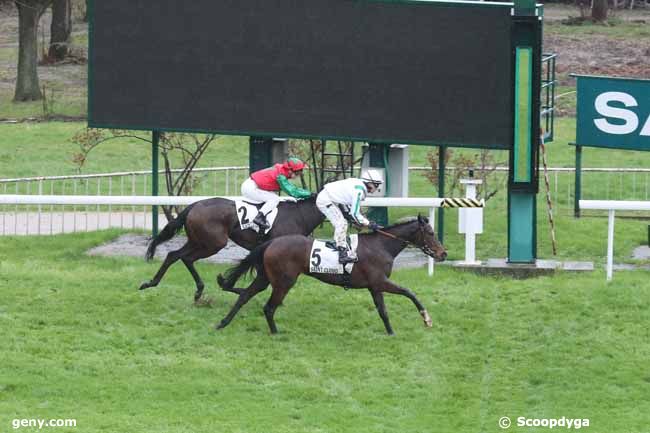 12/03/2024 - Saint-Cloud - Prix Calandria : Arrivée