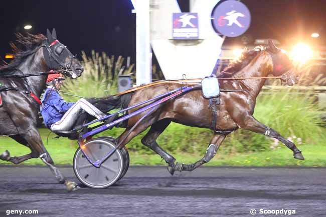 30/08/2024 - Vincennes - Prix Dorado : Arrivée