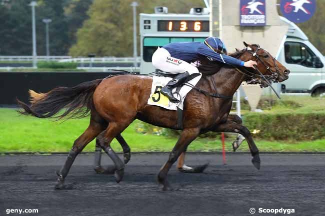 12/11/2024 - Vincennes - Prix Ceneri Forcinal : Arrivée