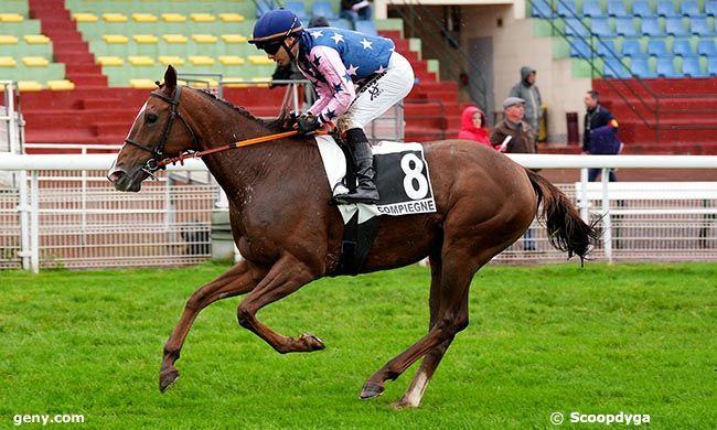 24/09/2025 - Compiègne - Prix de Choisy-au-Bac : Arrivée