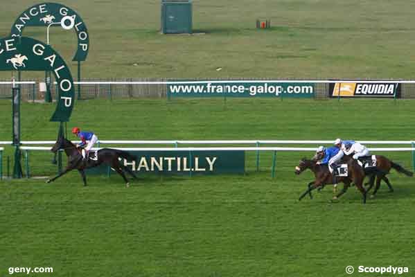 11/10/2007 - Chantilly - Prix Scaramouche : Arrivée