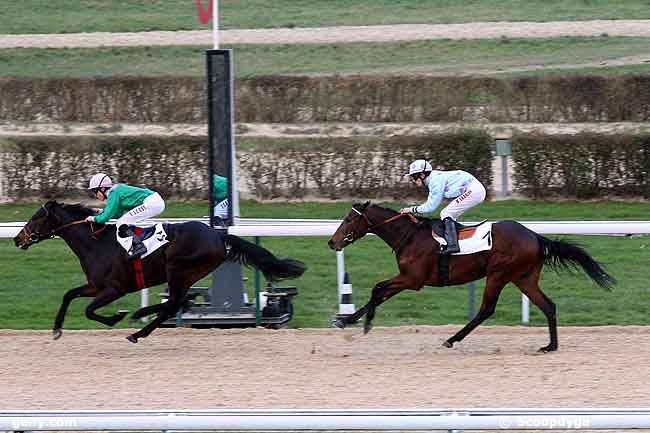 30/12/2008 - Deauville - Prix de la Dunanerie : Ankunft