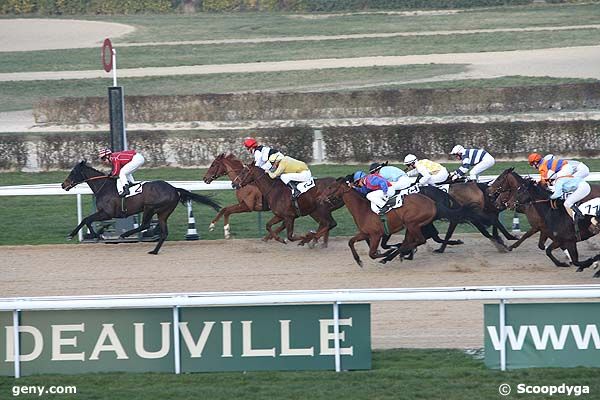 10/01/2009 - Deauville - Prix du Ril : Arrivée