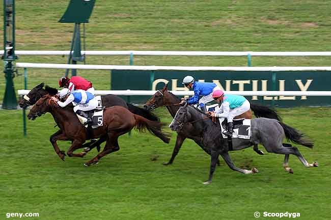 17/09/2009 - Chantilly - Prix des Indrolles : Arrivée