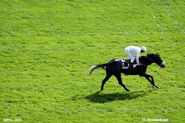 23/09/2009 - Auteuil - Prix Robert Lejeune : Arrivée